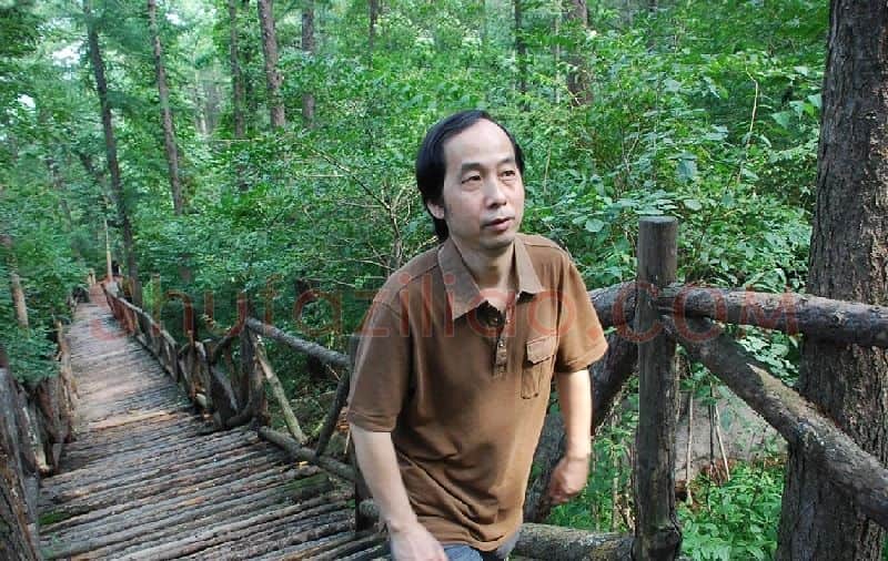 张伟平·张伟平