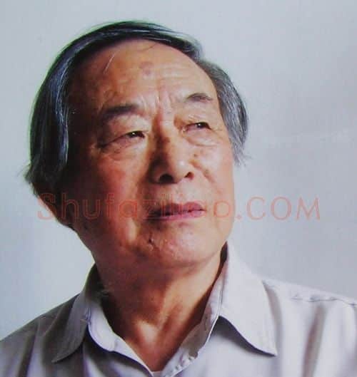 徐仲平·画像·照片
