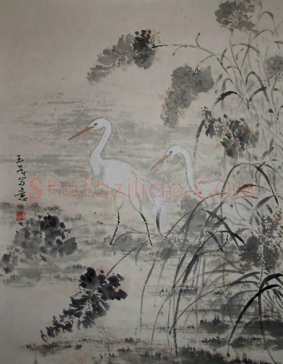 董玉飞·国画白鹭