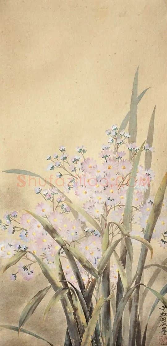 尹虹·繁星