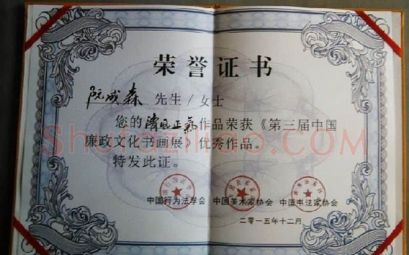阮成森·证书