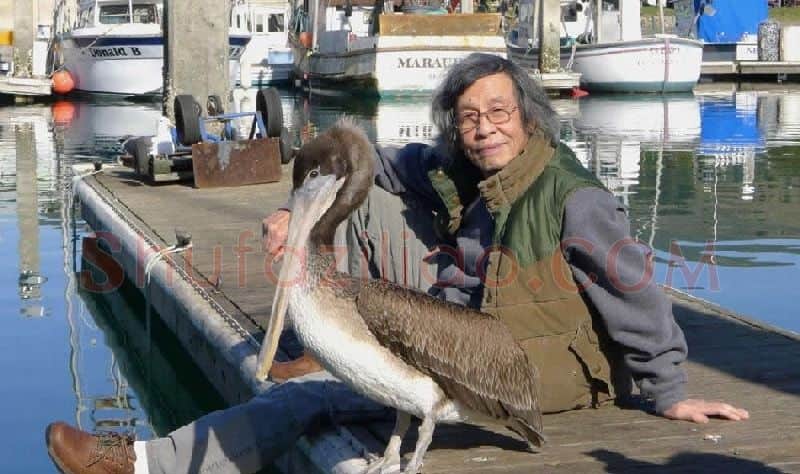 关则驹·画像·照片
