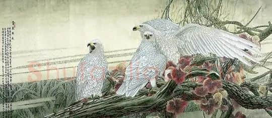 窦申清·贵气横秋