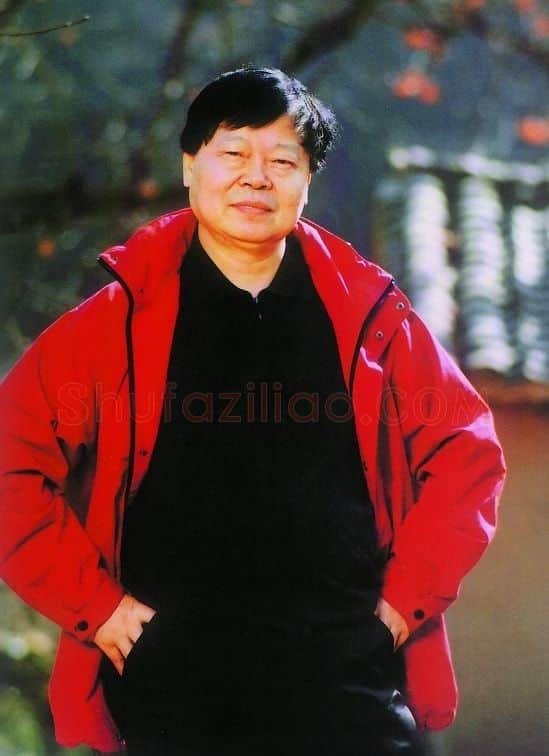 王西京·画像·照片