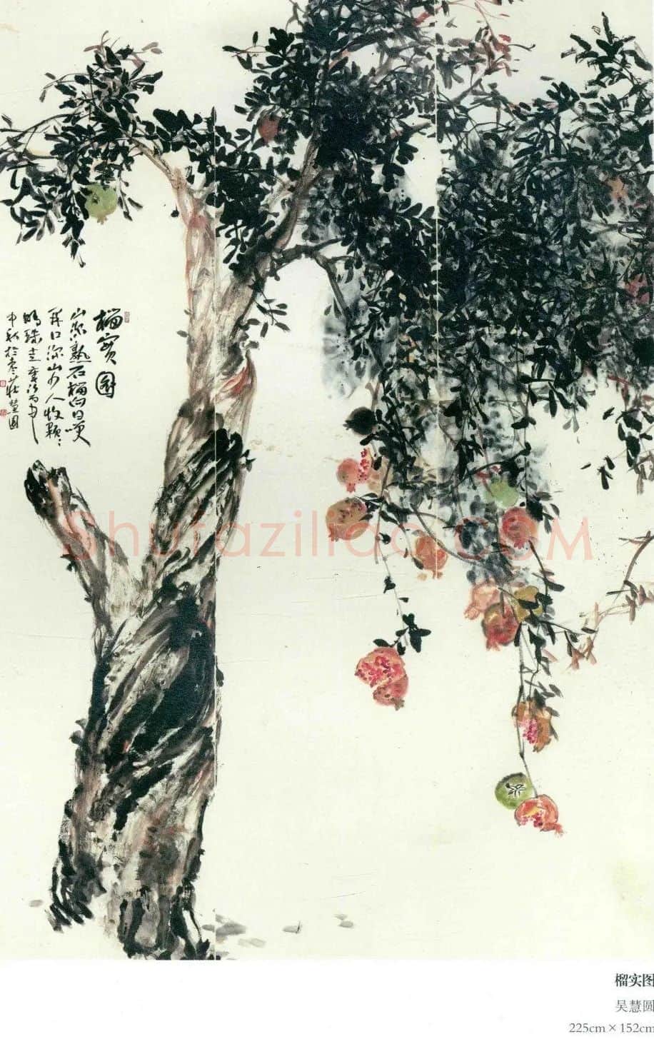 吴慧圆·《榴实图》