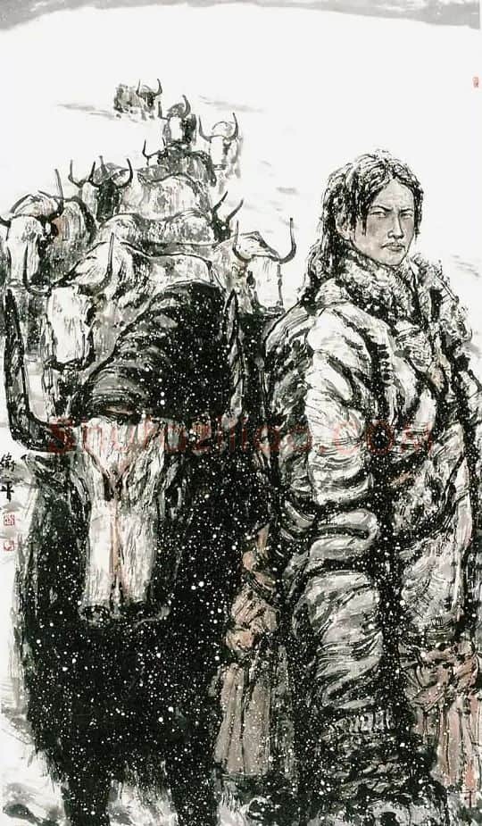 张卫平·康巴汉子