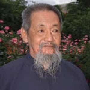 王炬
