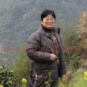 张晓星