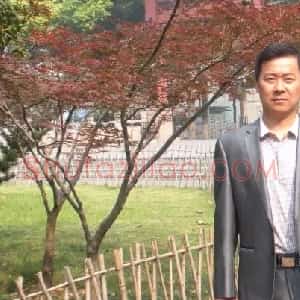 秦连柏