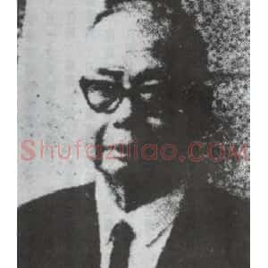 丁衍庸
