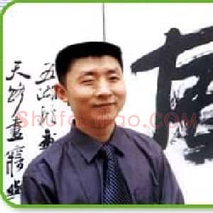 王芳泽