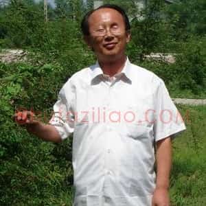 杨国桓