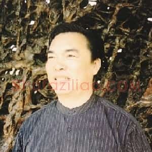 王晓峰