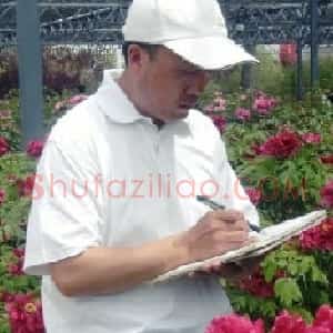 王俊平