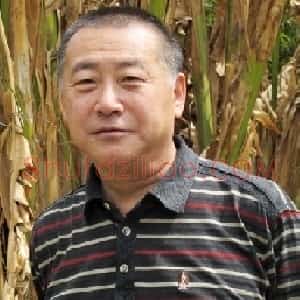 张志平