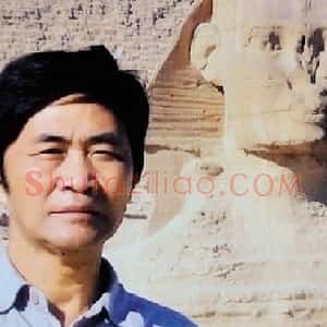 金晨