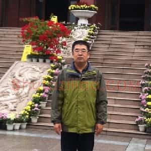 张毅君