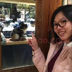 庄婷婷