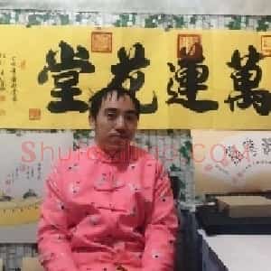 岚齐