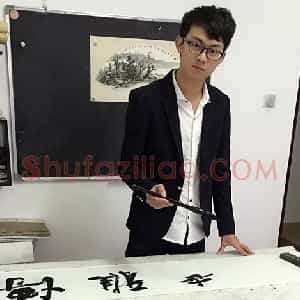 陈金杜