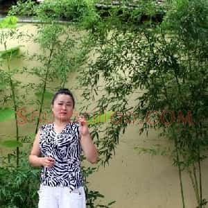 李水云