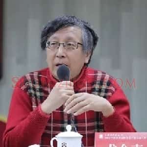 龙念南
