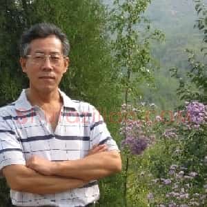 芝光林