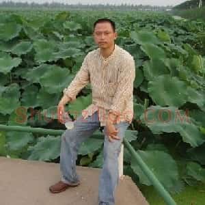 束新水