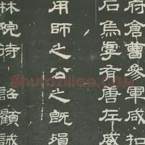 顾诫奢