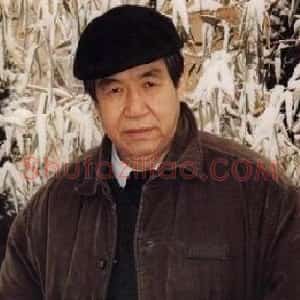 杨延文
