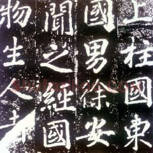 苏灵芝