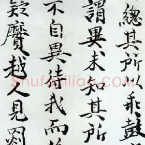 曹善