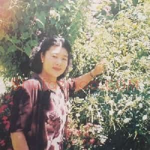 贾世玉