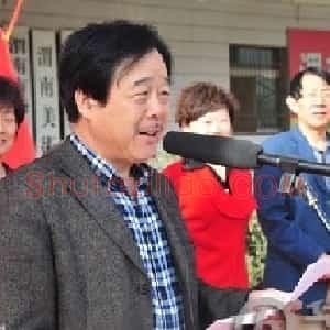 王鸣放