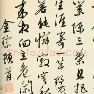 金琮