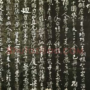 任询