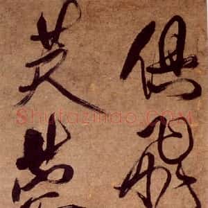 傅眉