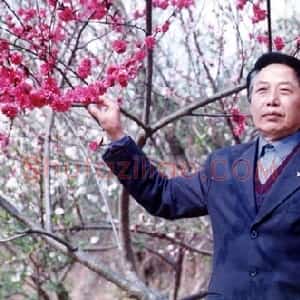 胡文才