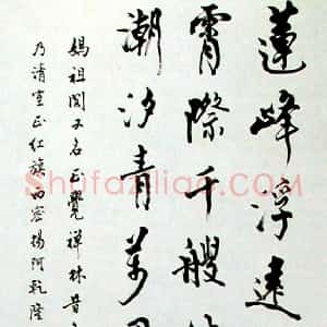 苏树辉