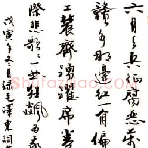 张虎