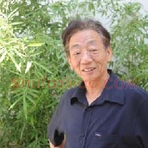loveshufa的头像