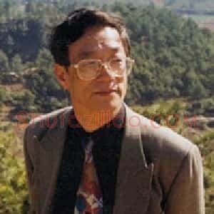 傅启中