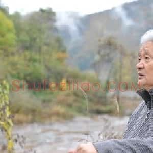 赵振川