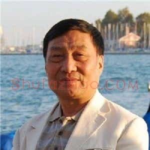 王振华