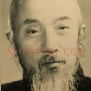 丁士青