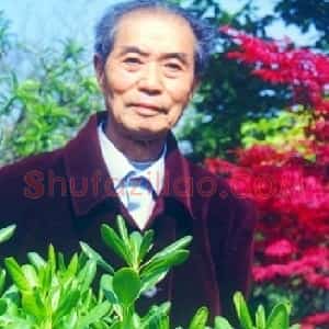 金家骐