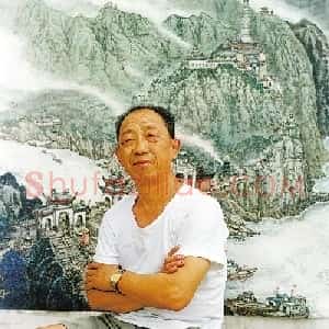 王树枫