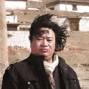 杨东风
