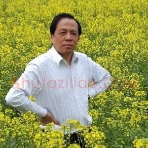 常树森