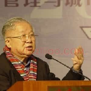 吴良镛
